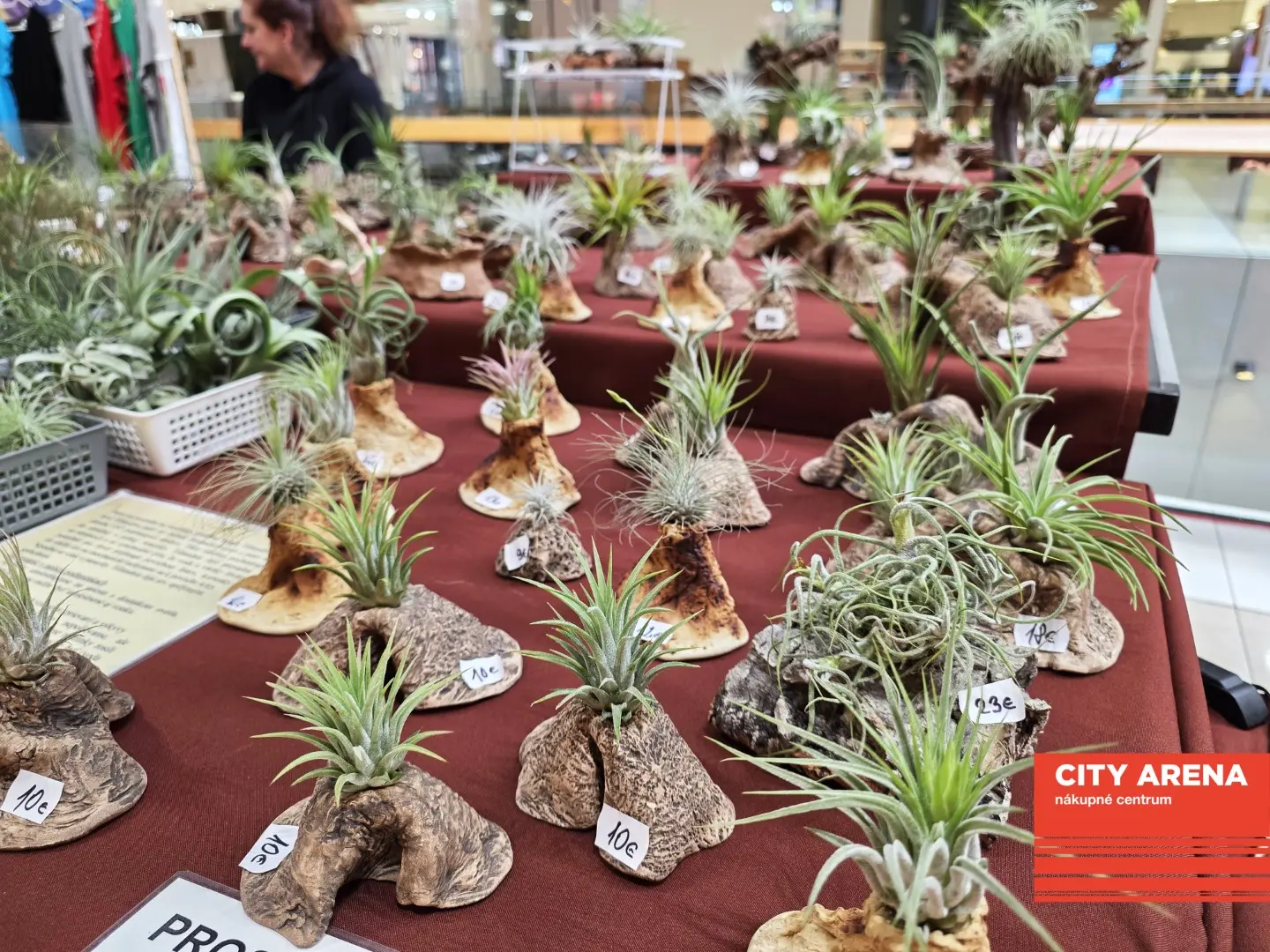 Dni originality 2026