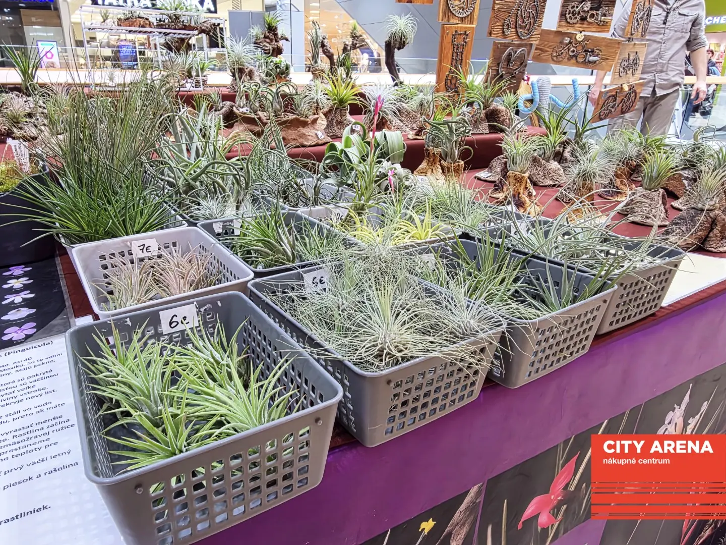 Dni originality 2026