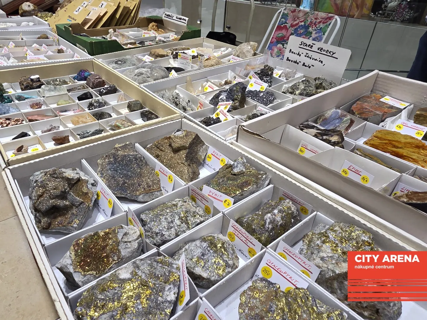 Dni originality 2026